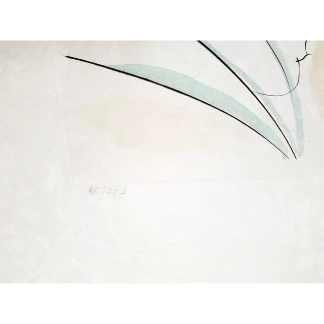 Salvador dali the oak and the reed (la chêne et le roseau) from le bestiaire de la fontaine 1974 hand signed by dali...