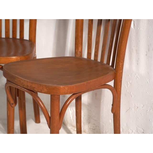 Thonet Bentwood Chairs by Michael Thonet for Ton, Former Czechoslovakia, 1960s, Set of 2 For Sale - Image 4 of 14