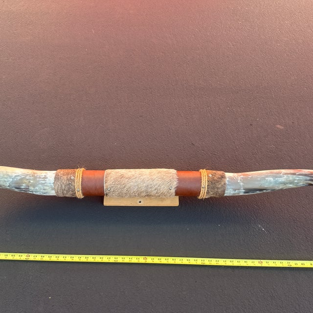 American 1980s Mounted Cow Horns For Sale - Image 3 of 11