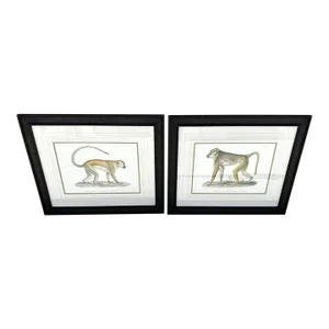 Soicher Marin Pair of Monkey Prints