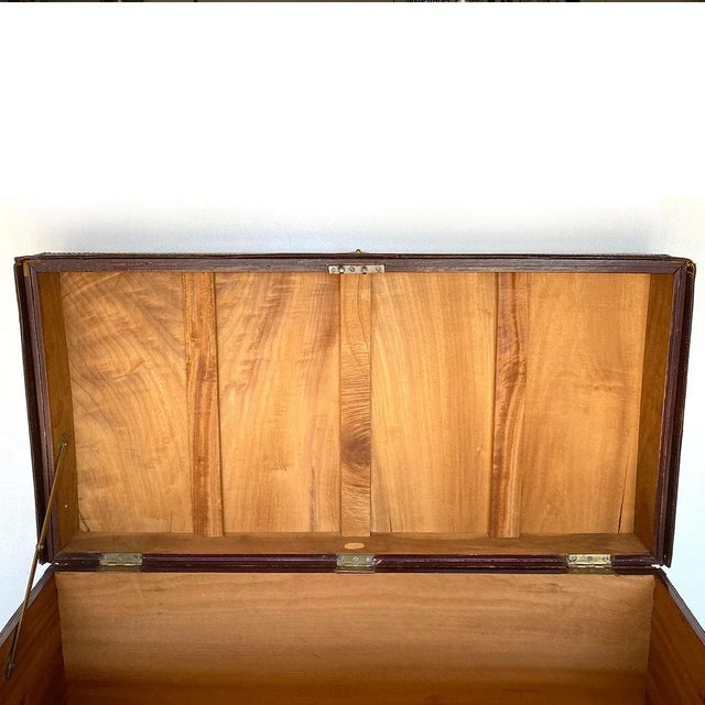 Brass Early 19th Century English George III Brass Tack and Leather Mounted Camphor Wood Travel Trunk For Sale - Image 8 of 11