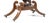Noble Wood Game Table, 1800s For Sale - Image 5 of 8