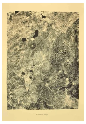 Jean Dubuffet, Fletrissure Allegre, Original Lithograph, 1959