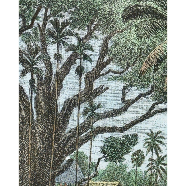 Wood Vintage Gilt Faux Bamboo Framed French Indochina Landscape Print - British Colonial Style For Sale - Image 7 of 12