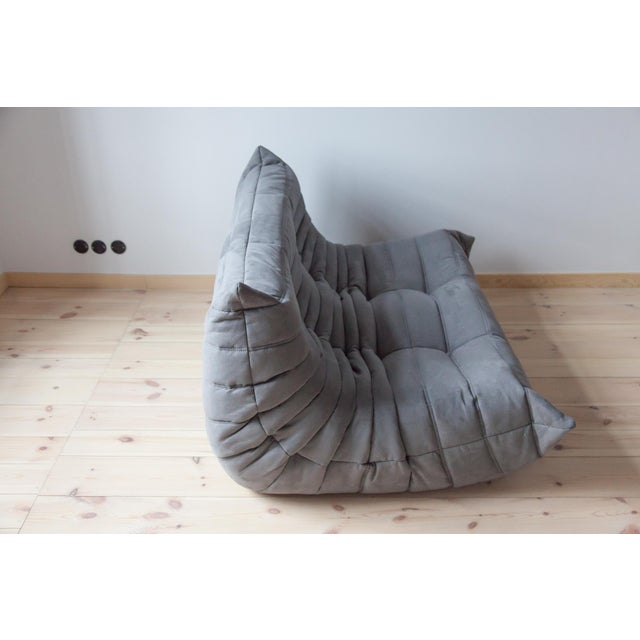 Gray Set of Grey Microfiber Togo 2-and 3-Seat Sofa by Michel Ducaroy for Ligne Roset For Sale - Image 8 of 15