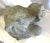 Vintage Cast Elephant Statue For Sale - Image 4 of 12