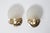 Shell Wall Lamps from Deknudt, Belgium, 1980s, Set of 2 For Sale - Image 14 of 15