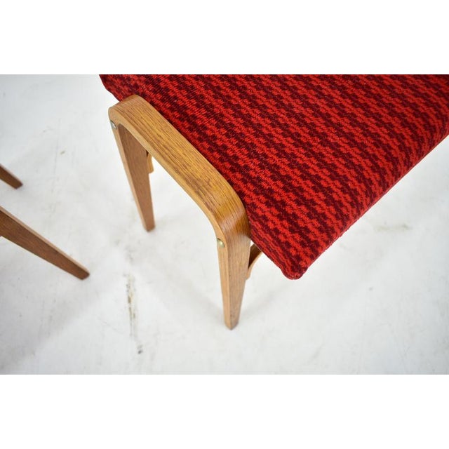 Brown Set of Beech Stools by Ludvik Volak attributed to Drevopodnik Holesov, Czechoslovakia, 1960s For Sale - Image 8 of 16