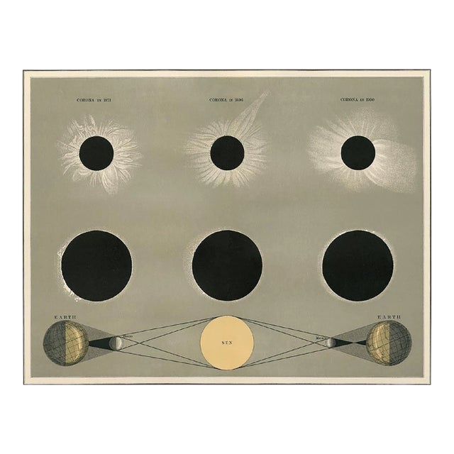 Reproduction Antique Astronomy Print of the Corona Eclipse - 51" X 40" For Sale