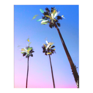 Santa Barbara 3 Palms I - Urban Landscape Photography Painting Original Artwork by Pete Kasprzak