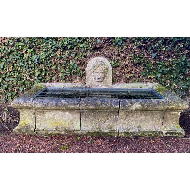 Antique Stone Fountain and Outdoor Basin, 1800s For Sale - Image 12 of 17