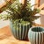 Kenneth Ludwig Chicago Nikko Pot Large For Sale - Image 4 of 4