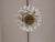 Chandelier from La Murrina, 1970s, in Very Good conditions. Designed 1970 to 1979 I have official proof of authenticity...