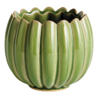 Leanna Pot For Sale