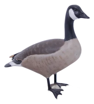 William Porterfield Carved Wood Canadian Goose