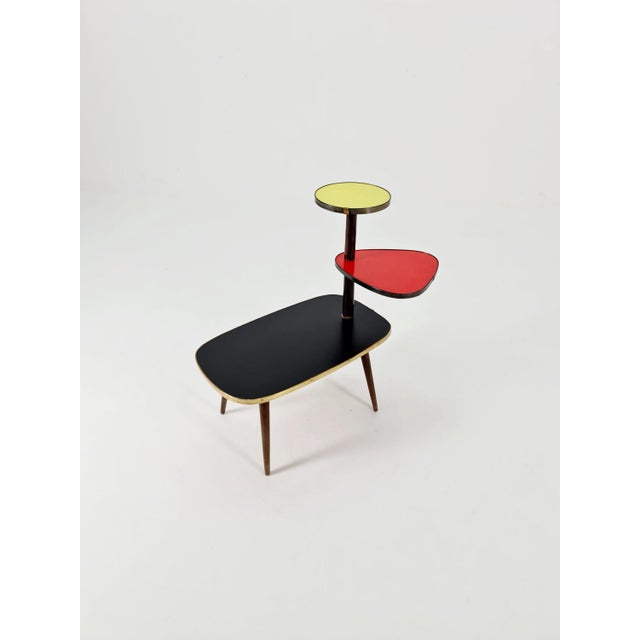 Minimalist German Indoor Flower Table, 1960s For Sale - Image 6 of 10
