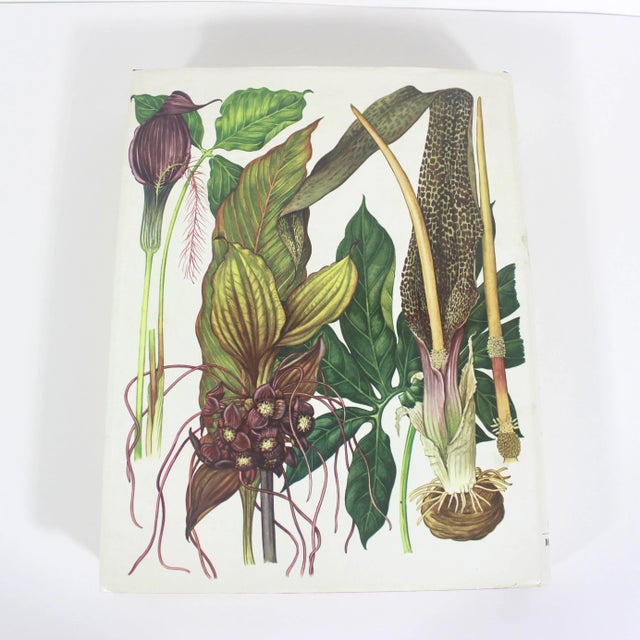 English 1970 Wildflowers of the World Hardcover Book Wild Flowers Botanical Painted Plants Colorful Flower For Sale - Image 3 of 12