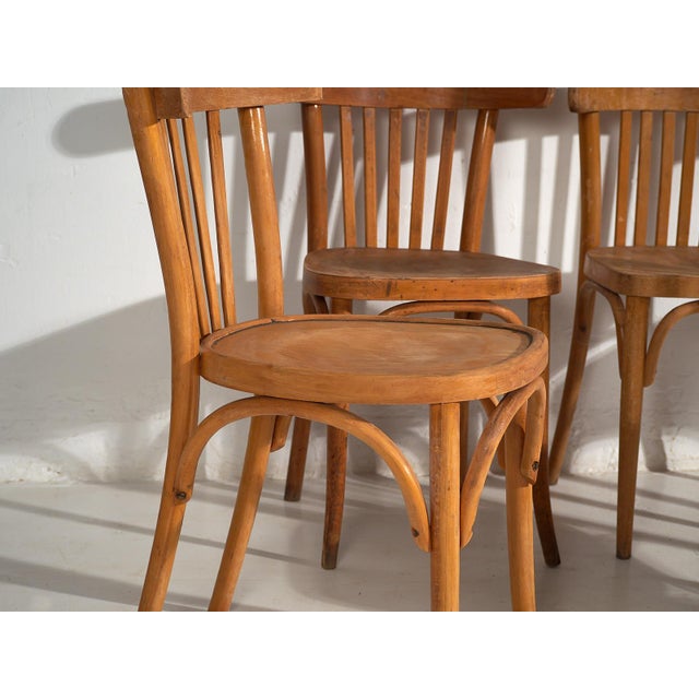 Vintage Bistro Chairs from Thonet, 1920s, Set of 6 For Sale - Image 3 of 15