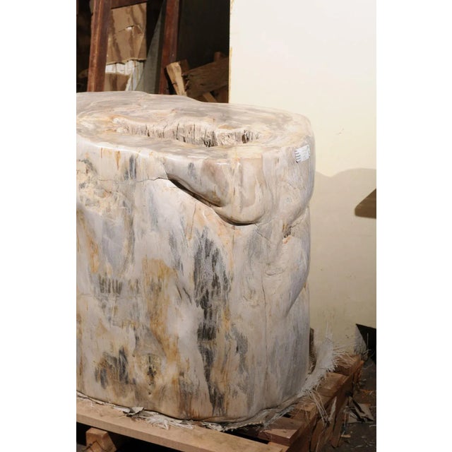Contemporary Large Petrified Wood Table Base For Sale - Image 3 of 12