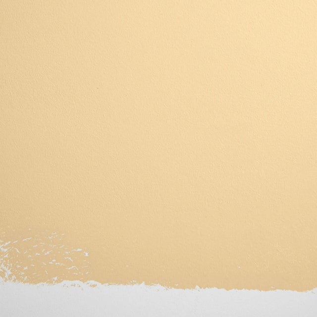 BACKDROP Adhesive Sample Swatch in Miami Parasol (Muted, Soft Yellow) For Sale - Image 4 of 5