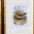 Illustration 19th Century Cassell Bird Chromolithographs in Gold Bamboo Frames - A Pair For Sale - Image 3 of 12
