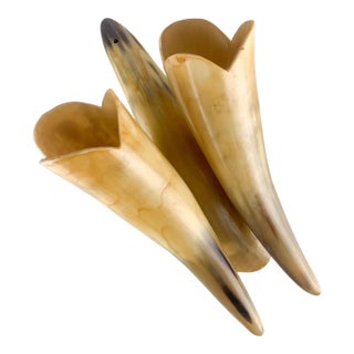 Vintage Buffed Polished Cow Ox Horns Wall Plant Hanging Pocket Western Ranch For Sale