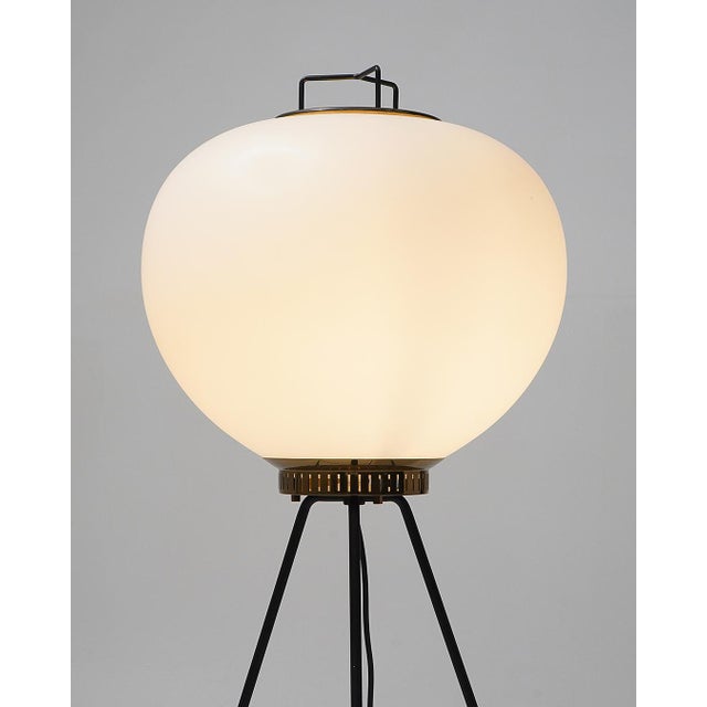 Metal GlassTripod Floor Lamp from Stilnovo, 1950s For Sale - Image 7 of 16
