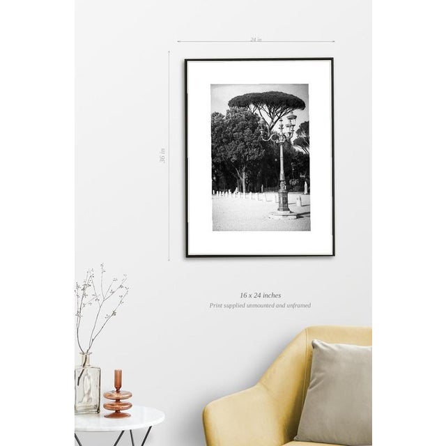 Fine art Giclee prints on Hahnemuhle Photo Rag 308gsm - a 100% cotton, acid-free, mould-made paper. Printed to Fine Art...