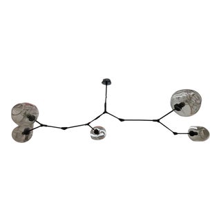 Lindsey Adelman 5-Globe Branching Bubble For Sale