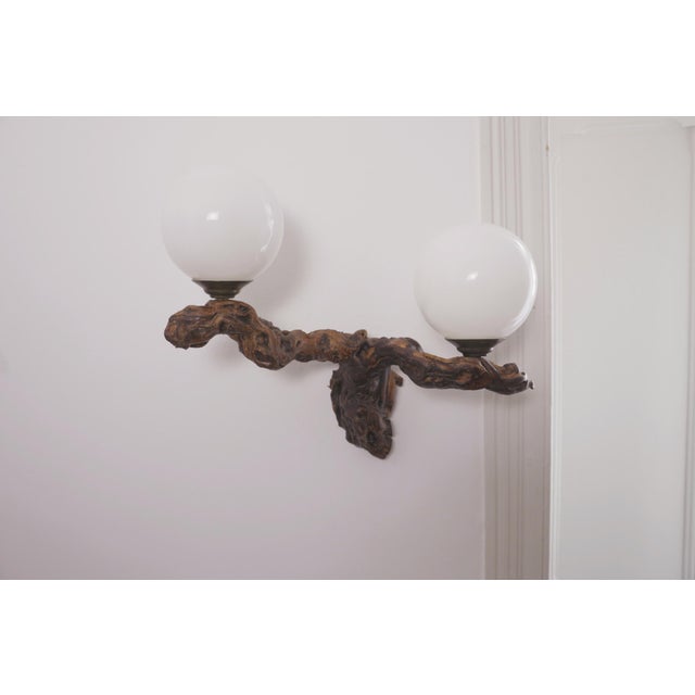 Vintage driftwood wall lamp crafted from a genuine vine root (“cep de vigne”), featuring two white milky glass globes that...