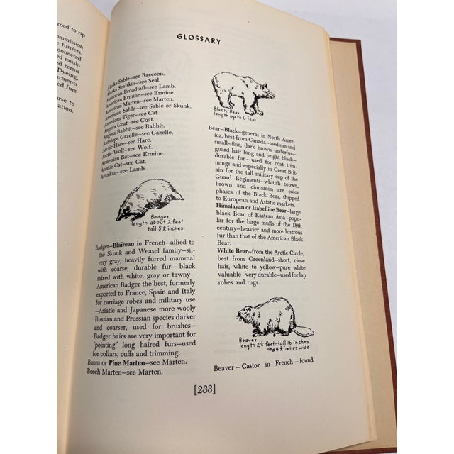 1951 the Mode in Furs Book For Sale - Image 16 of 18