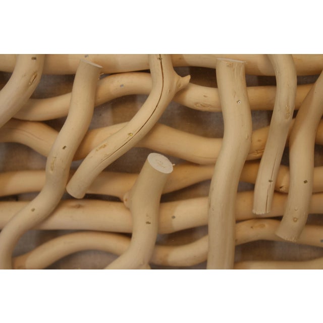 Transitional Willow Wall Art in Acrylic Box For Sale - Image 3 of 3