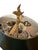 Late 20th Century Vintage French Empire Style Brass Bouillotte Table Lamp With Green Tole Shade For Sale - Image 5 of 12