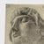 Antique 19th Century French Academic Study of a Greek Bust, Signed (Charcoal on Woven Paper) For Sale - Image 4 of 8