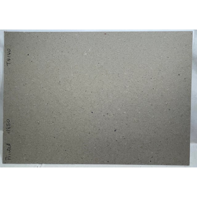 Antique Hand Colored Bird Print From England Showcasing Several Varieties of WoodPeckers - Circa 1850 For Sale - Image 11 of 12