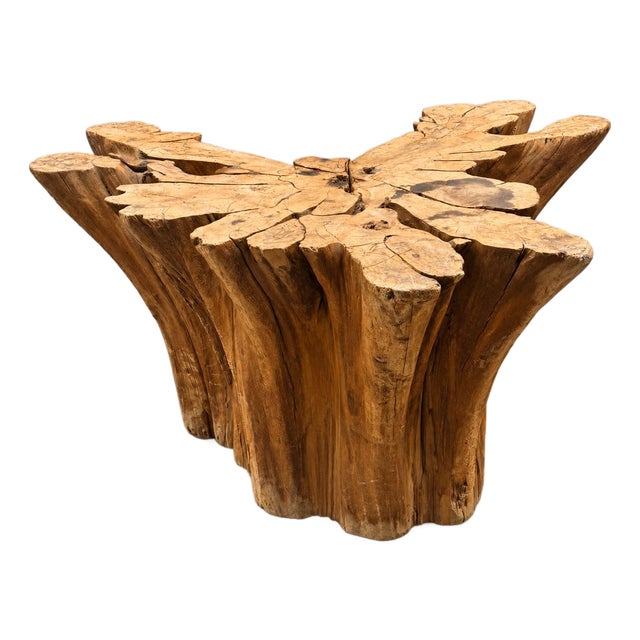 1960s Cypress Tree Trunk Table Base For Sale
