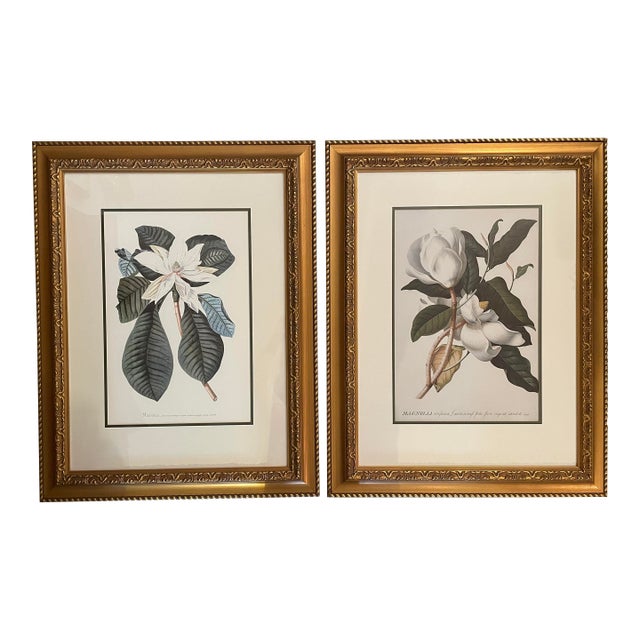 Gold Framed Magnolia Prints, a Pair For Sale