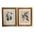 Gold Framed Magnolia Prints, a Pair For Sale