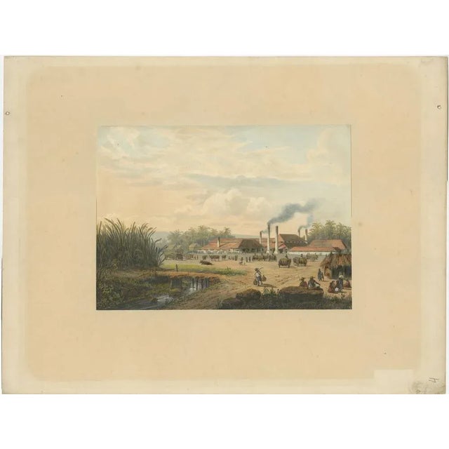 After Salm, Sugar Factory in Java, Indonesia, 1872, Original Chromolithograph For Sale - Image 6 of 6