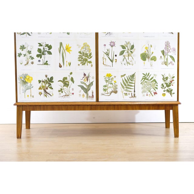 Brown Swedish Modern Flora Cabinet with Illustrations by C.A.M Lindman, 1940s For Sale - Image 8 of 9