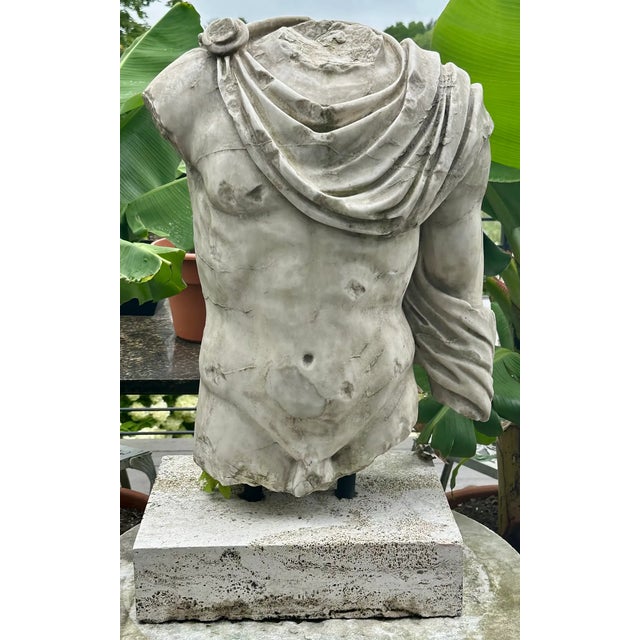 Roman Marble Torso For Sale - Image 9 of 9