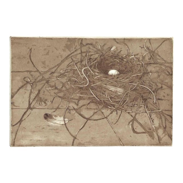 Rosemary Ladd Egg and Nest Etching For Sale
