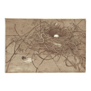 Rosemary Ladd Egg and Nest Etching