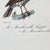 Paper French Antique 18th Century Bird Engraving Hand Colored Signed Artwork For Sale - Image 7 of 11