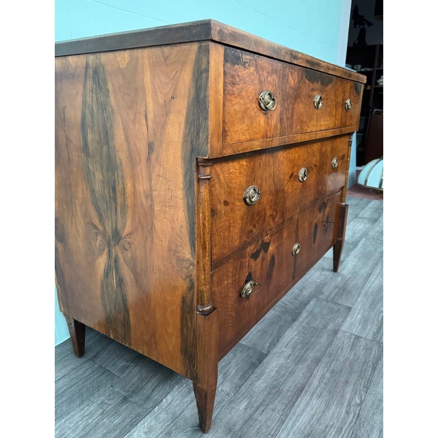 Antique Mid-19th Century Biedermeier Walnut Chest of Drawers, Germany For Sale - Image 6 of 18