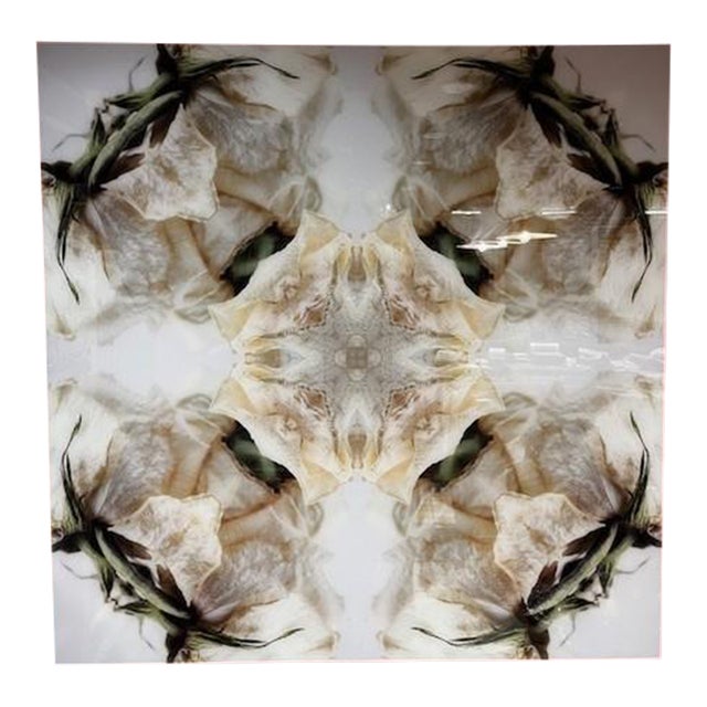 Wendover Art Organic Modern Reproduction Print For Sale