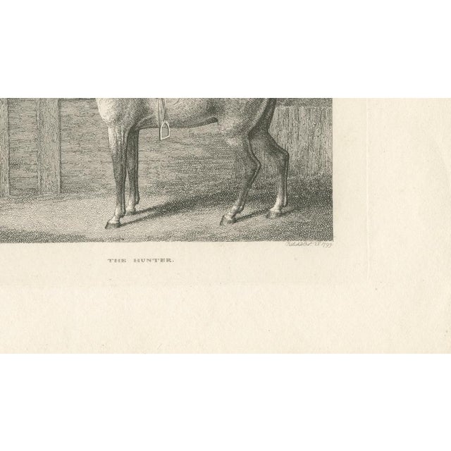 Samuel Howitt, The Hunter, 1799, Engraving For Sale - Image 6 of 9
