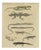 Bertuch, Lizards and Newts, Eight Species, 1805, Print For Sale
