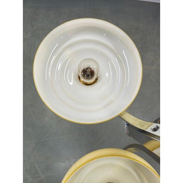 Art Deco Chandelier with Champagne Glass Shades, Former Czechoslovakia, 1930s For Sale - Image 10 of 13