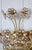 Metal Antique Brass Lead Crystal Wall Lamps from Weinfurtner, 1970s, Set of 2 For Sale - Image 7 of 9